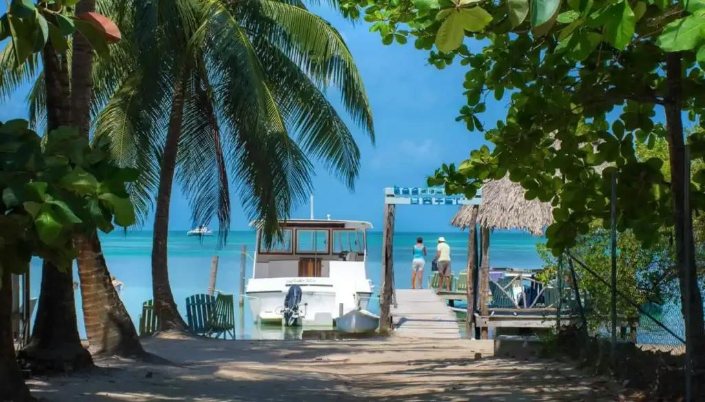 Elderly couple relaxing on veranda, overlooking Caribbean Sea, surrounded by vibrant tropical plants.