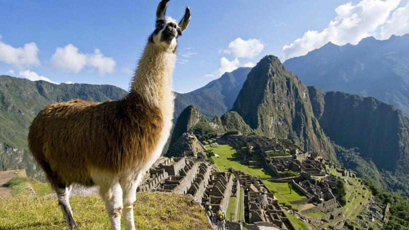 A serene scene of retirees enjoying coffee, conversation, and market life in a Peruvian town.