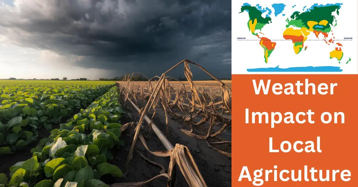 Weather Impact on Local Agriculture: How Big Is the Effect?